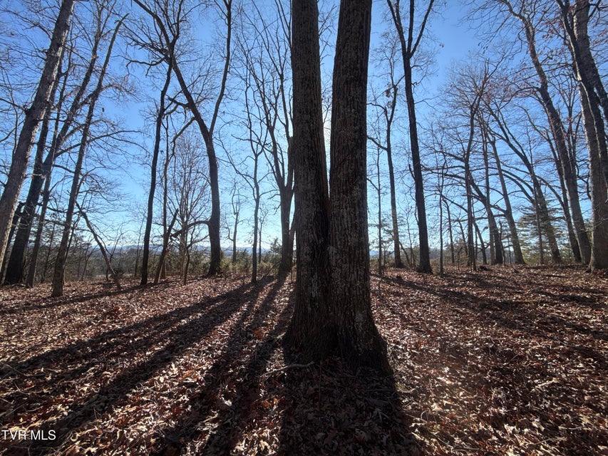 Photo #77: 6181 Poplar Springs Road