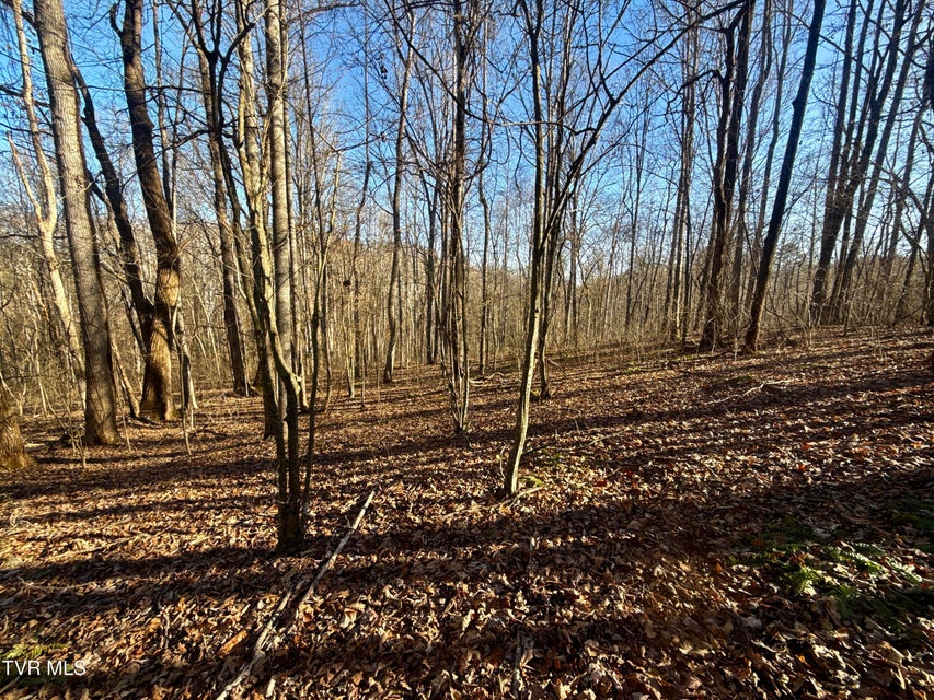 Photo #78: 6181 Poplar Springs Road