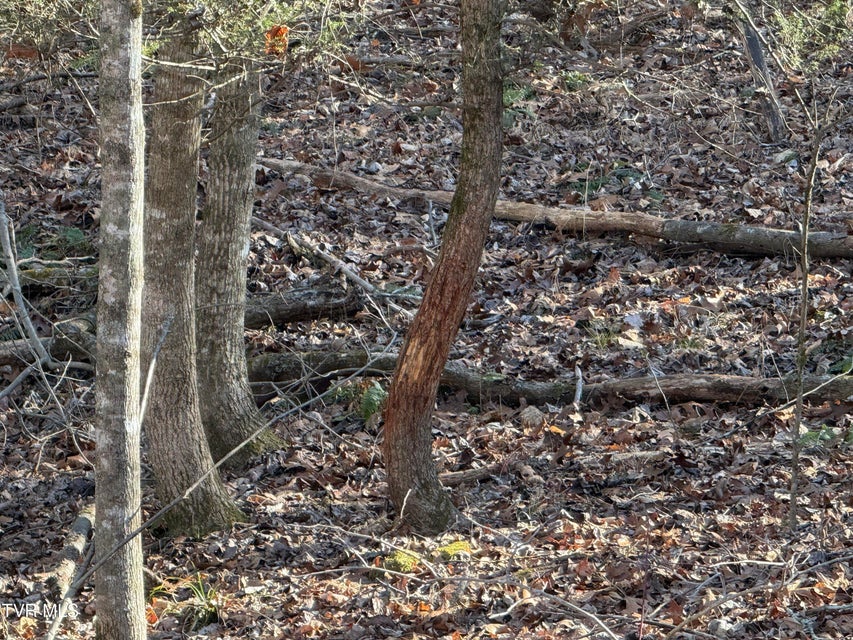 Photo #80: 6181 Poplar Springs Road