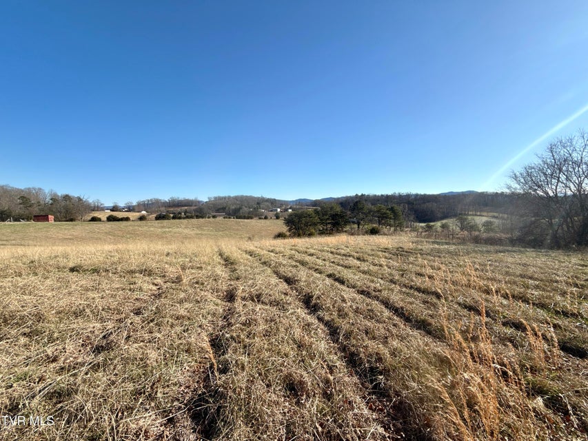 Photo #81: 6181 Poplar Springs Road