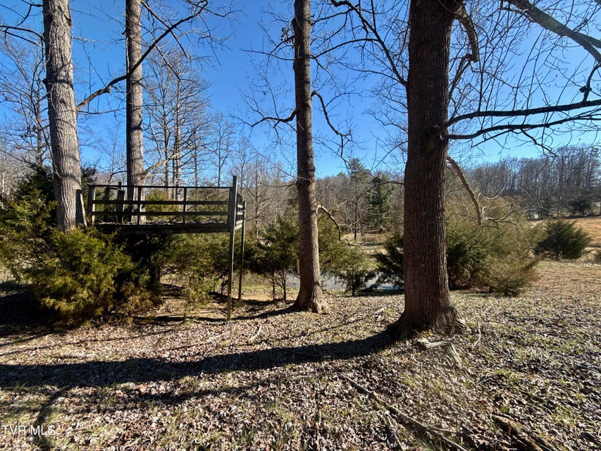 Photo #83: 6181 Poplar Springs Road