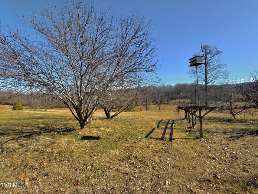 Photo #84: 6181 Poplar Springs Road