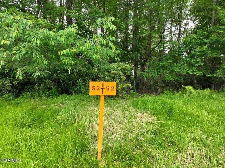 Photo #3: 1762 Ripshin Mountain Road