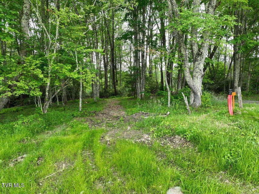 Photo #5: 1762 Ripshin Mountain Road