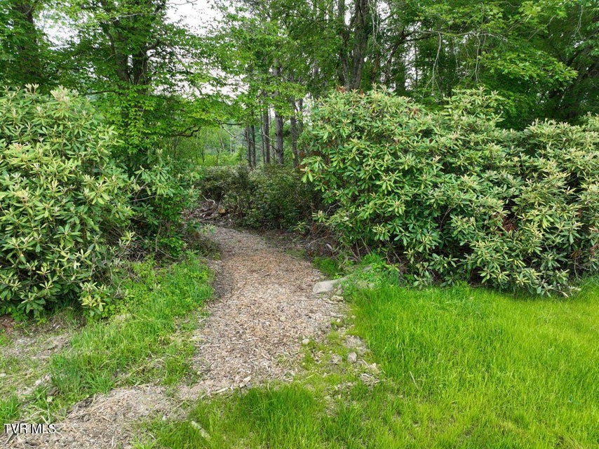 Photo #9: 1762 Ripshin Mountain Road
