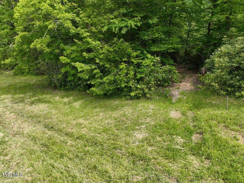 Photo #21: 1762 Ripshin Mountain Road