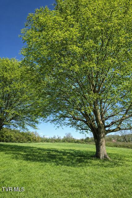 Photo #5: 2132 5th Street