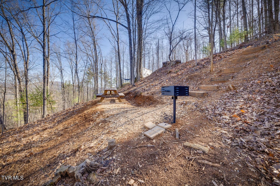 Photo #20: 601 Watauga Overlook Drive