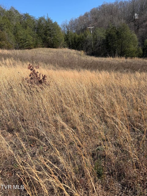 Photo #3: Tbd Shanks Gap Road