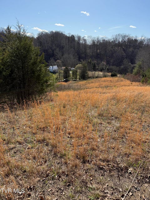 Photo #4: Tbd Shanks Gap Road