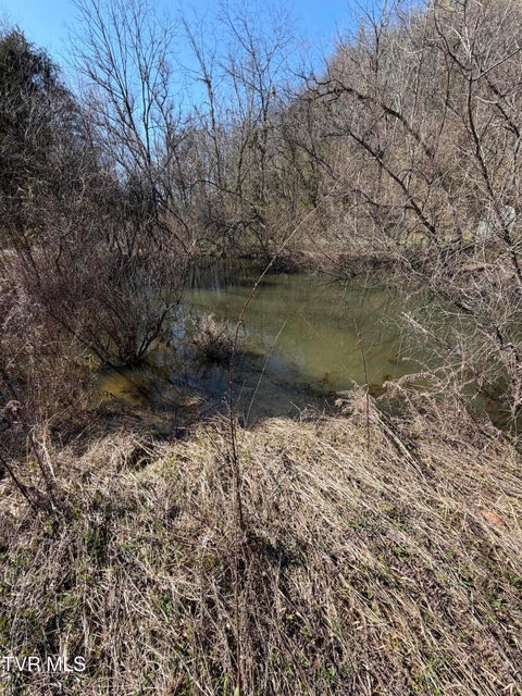 Photo #5: Tbd Shanks Gap Road