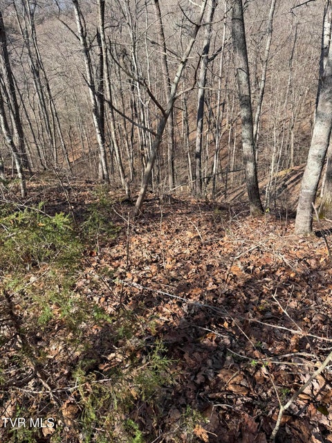 Photo #6: Tbd Shanks Gap Road