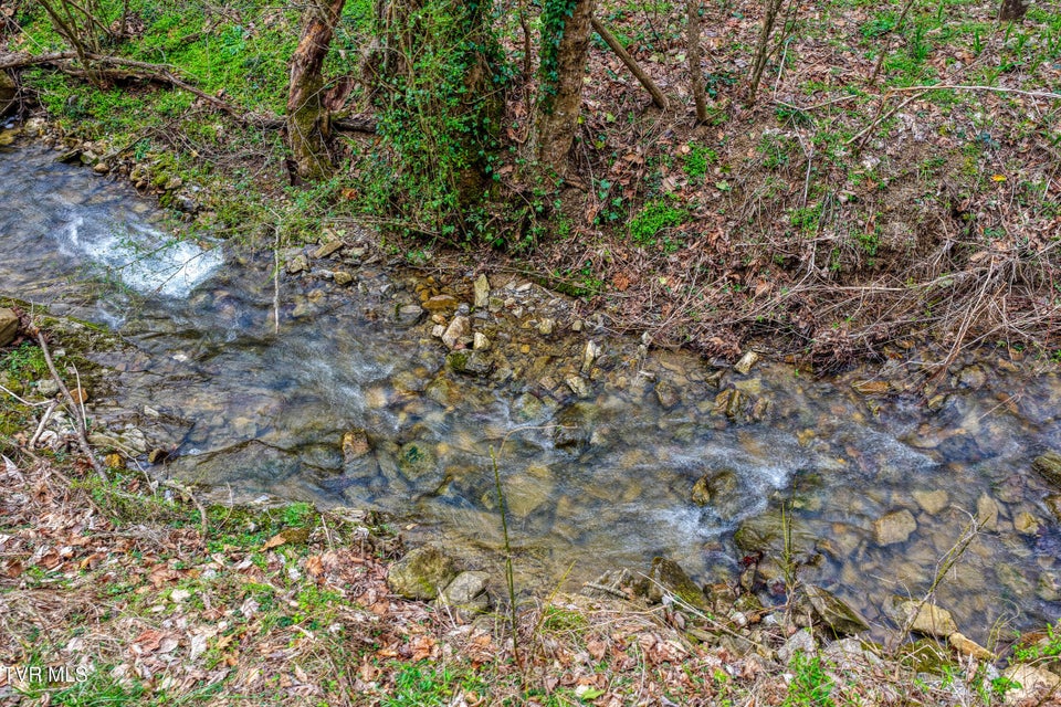 Photo #12: 1795 Bear Hollow Road