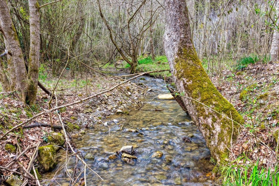 Photo #13: 1795 Bear Hollow Road