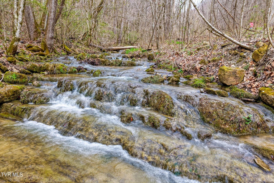 Photo #21: 1795 Bear Hollow Road