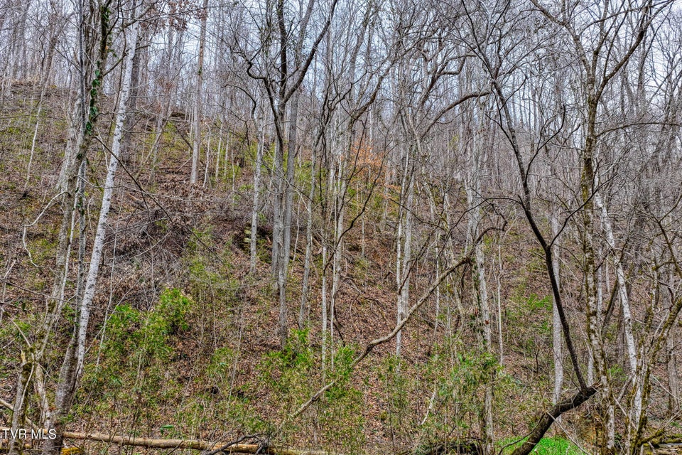 Photo #25: 1795 Bear Hollow Road