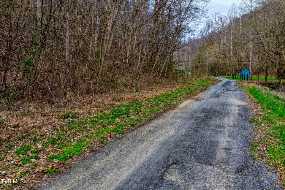 Photo #29: 1795 Bear Hollow Road