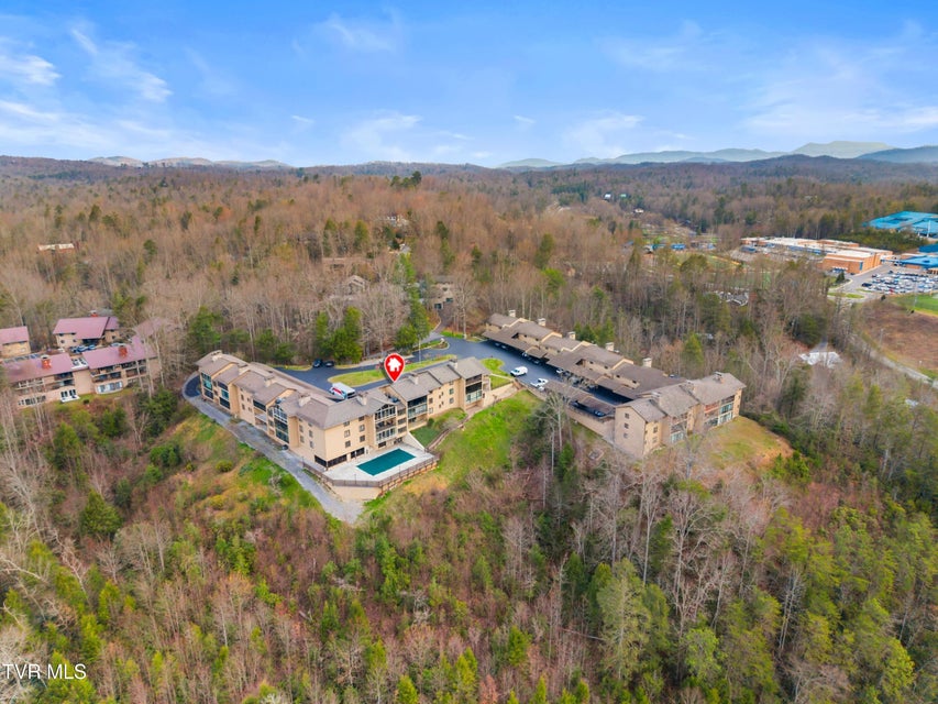 Photo #32: 1824 Oriole Road