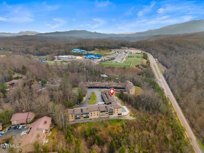 Photo #33: 1824 Oriole Road