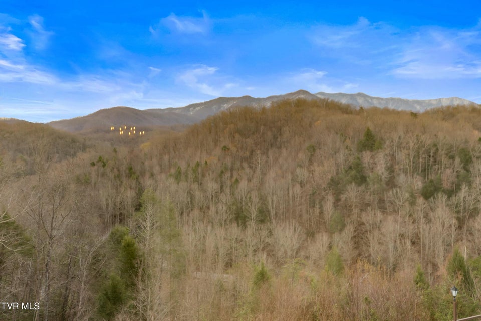 Photo #13: 1824 Oriole Road