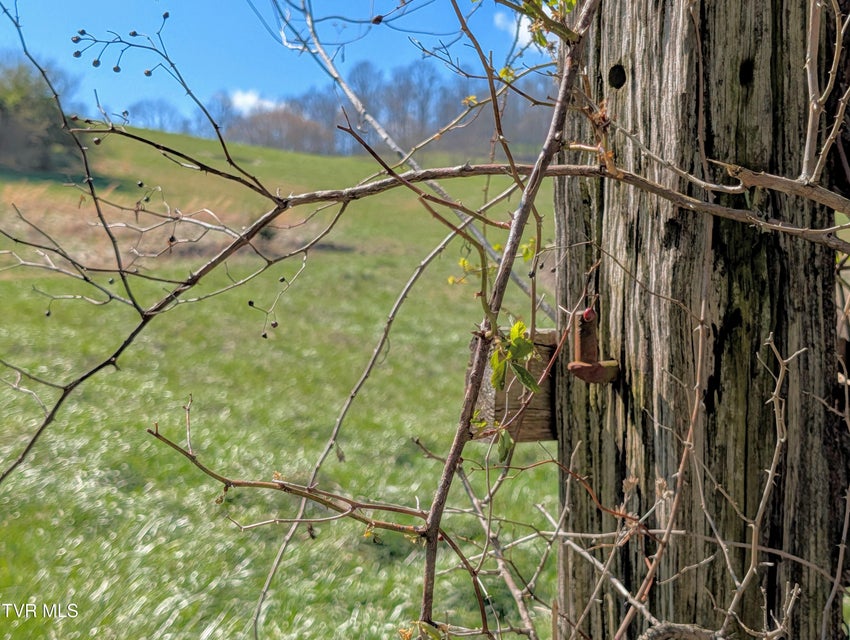 Photo #44: 1421 Bishoptown Road