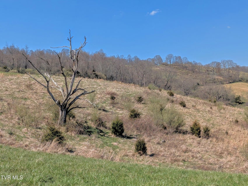 Photo #46: 1421 Bishoptown Road