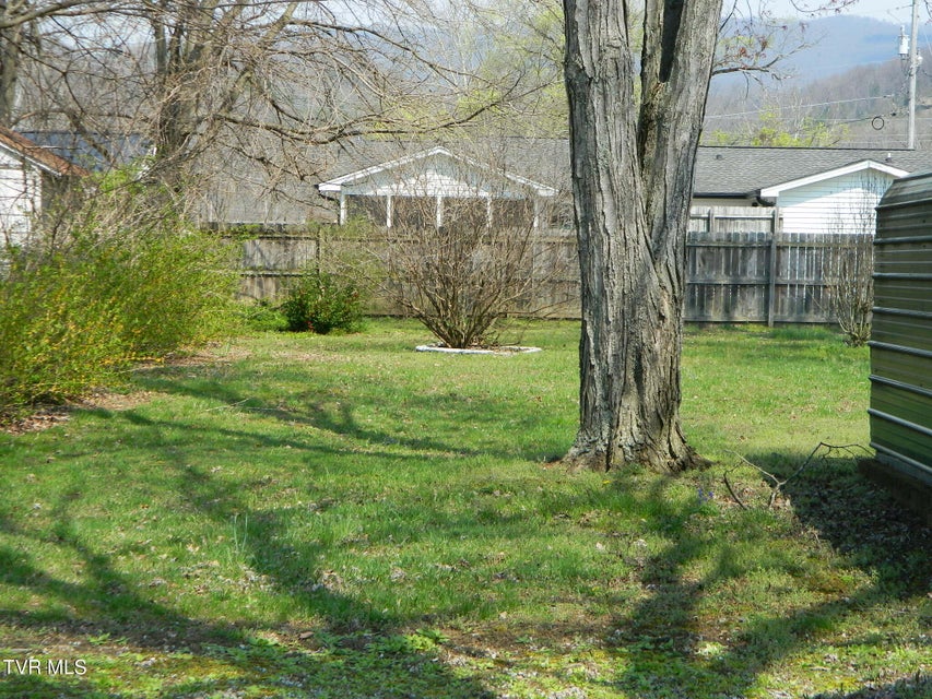 Photo #5: Tbd Bravo Street