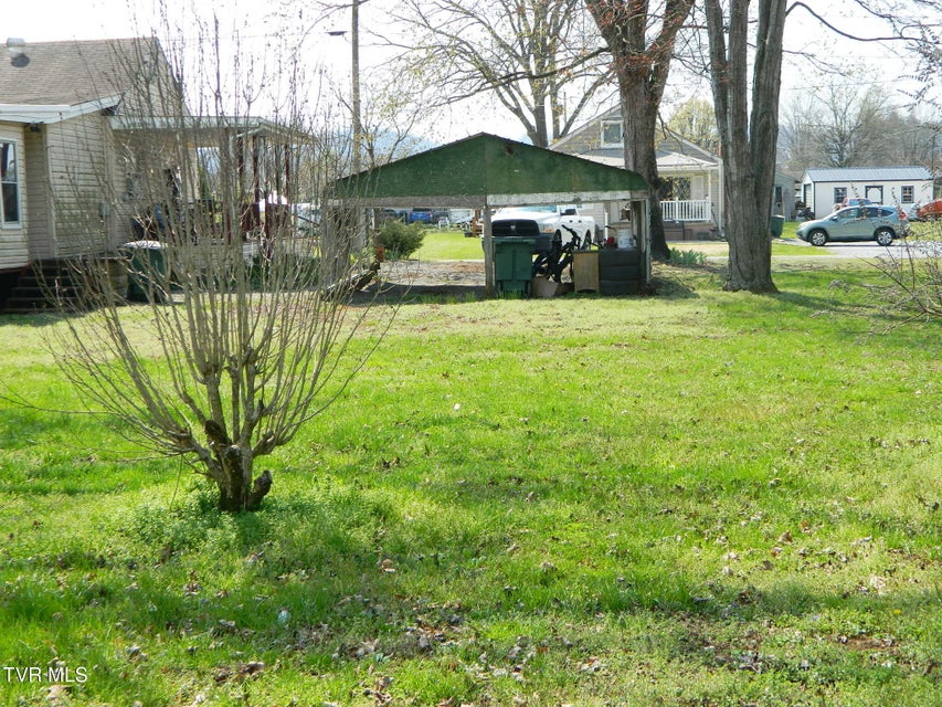 Photo #4: Tbd Bravo Street