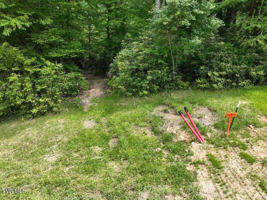 Photo #3: 1768 Ripshin Mountain Road
