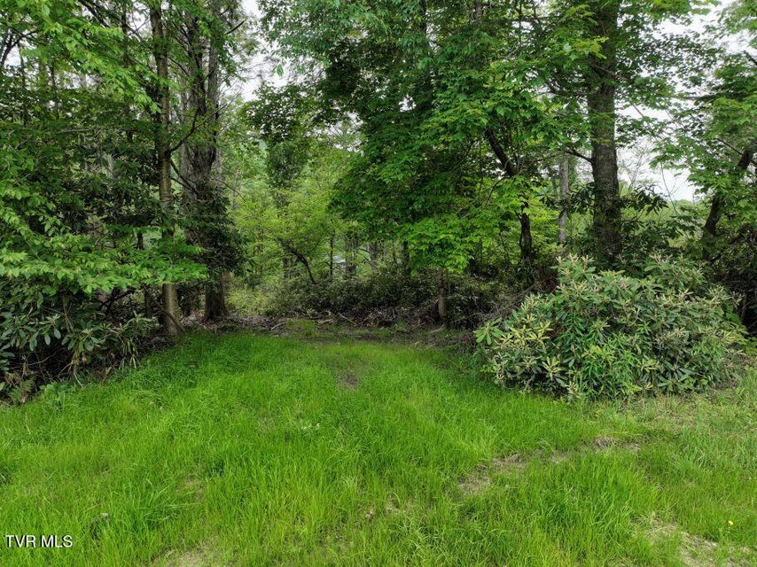 Photo #4: 1768 Ripshin Mountain Road