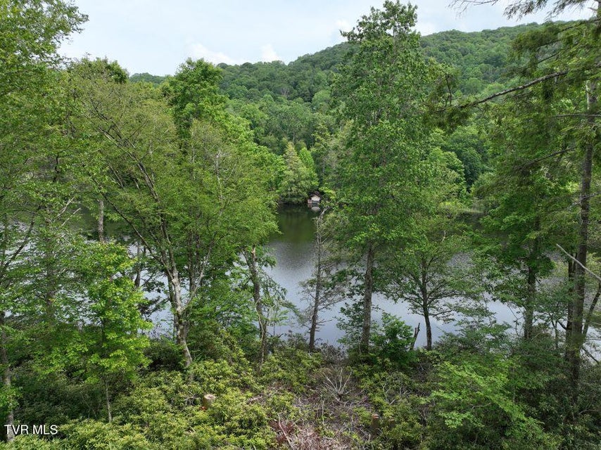Photo #9: 1768 Ripshin Mountain Road