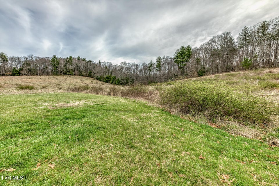 Photo #80: 306 Burley Shouns Lane