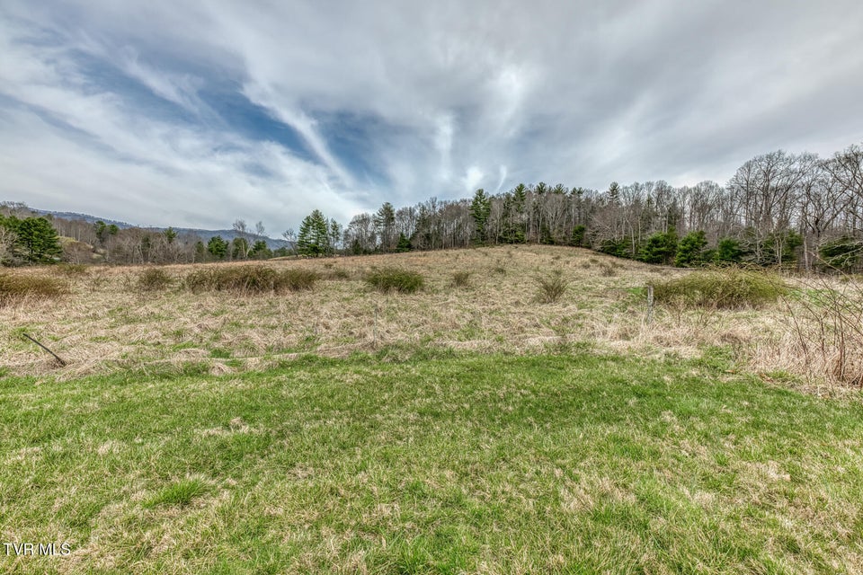 Photo #81: 306 Burley Shouns Lane