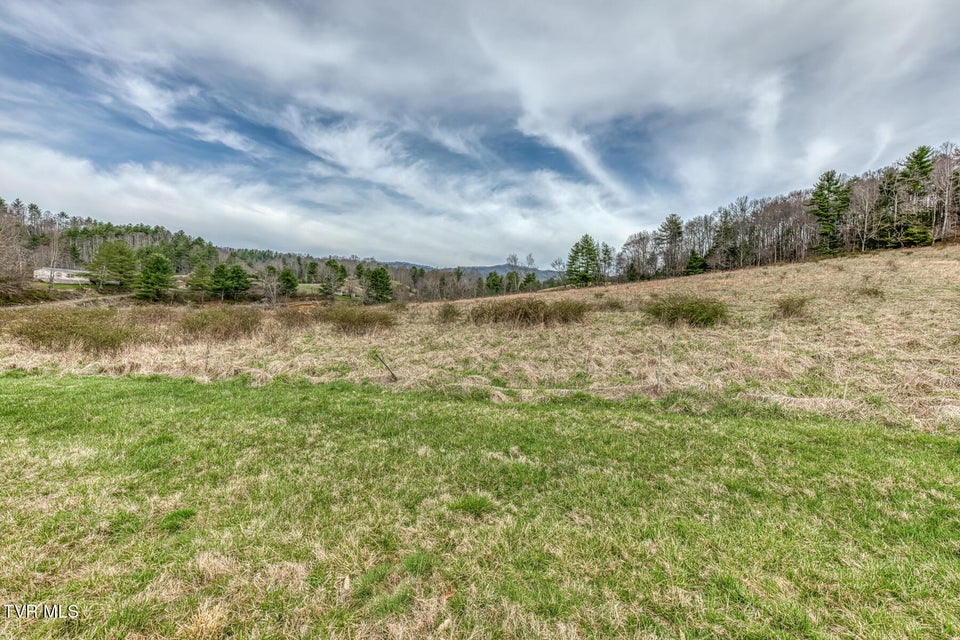 Photo #82: 306 Burley Shouns Lane