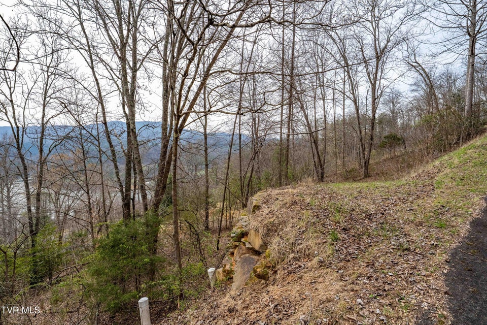 Photo #24: Tbd Lot 19 Mitchelle Arney Lane