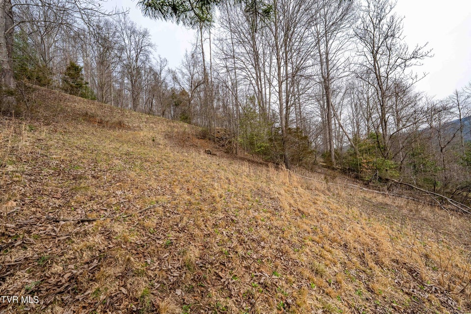 Photo #30: Tbd Lot 19 Mitchelle Arney Lane
