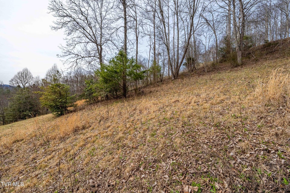 Photo #31: Tbd Lot 19 Mitchelle Arney Lane