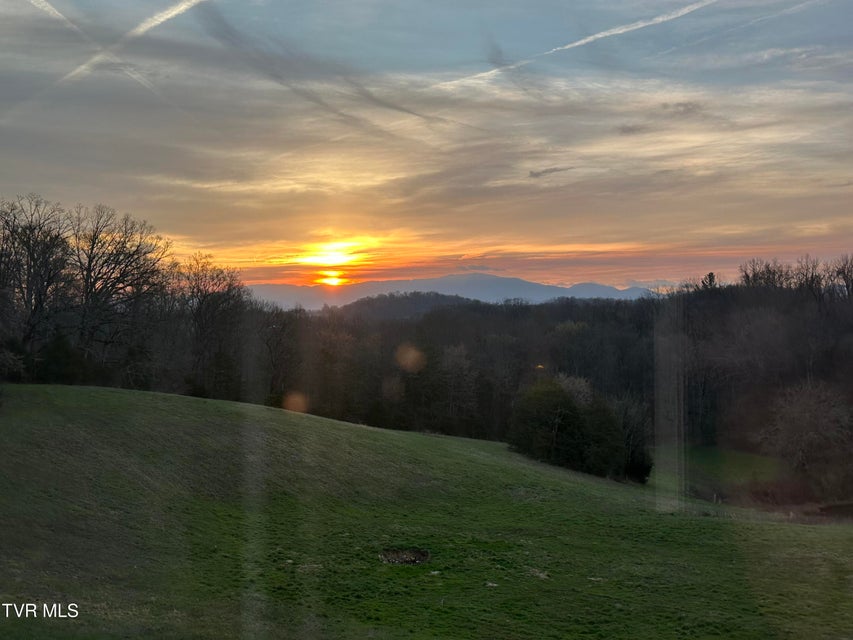 Photo #64: 411 Saint James Road