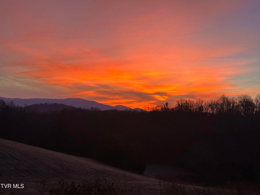 Photo #65: 411 Saint James Road