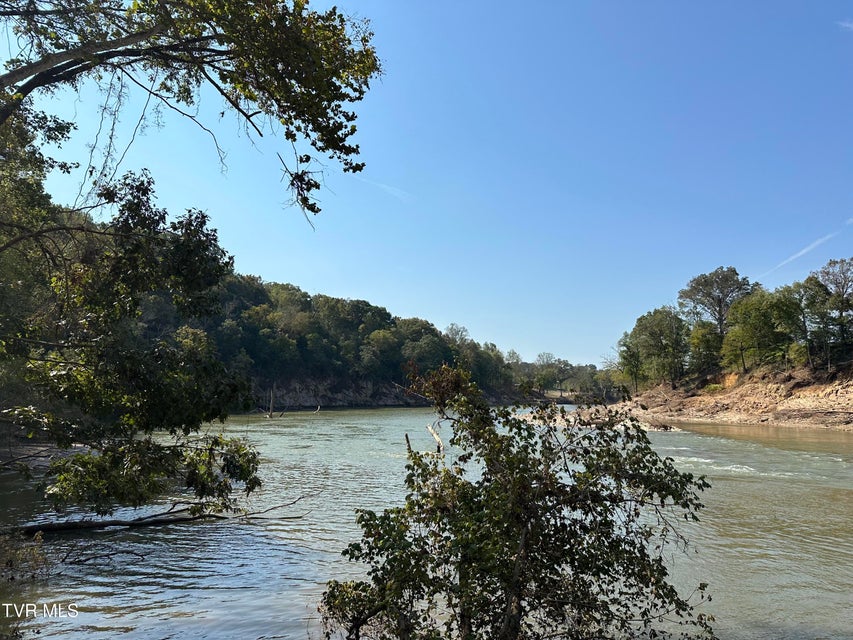 Photo #70: 411 Saint James Road