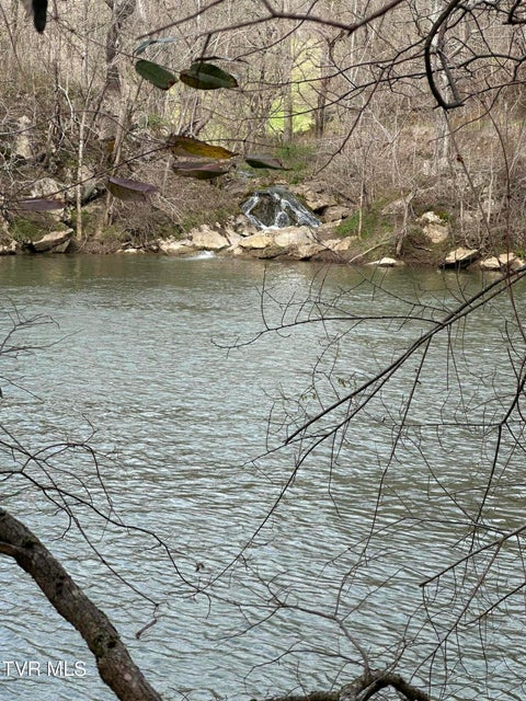 Photo #72: 411 Saint James Road