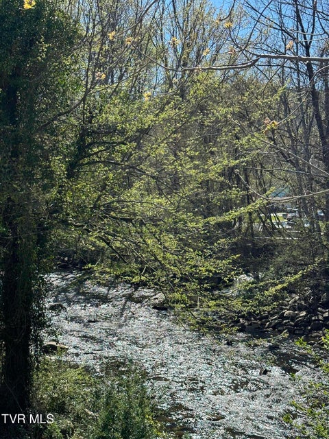 Photo #73: 411 Saint James Road