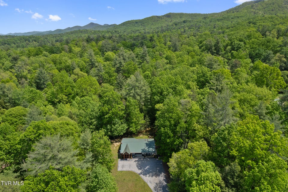Photo #27: 405 Morgan Branch Lane