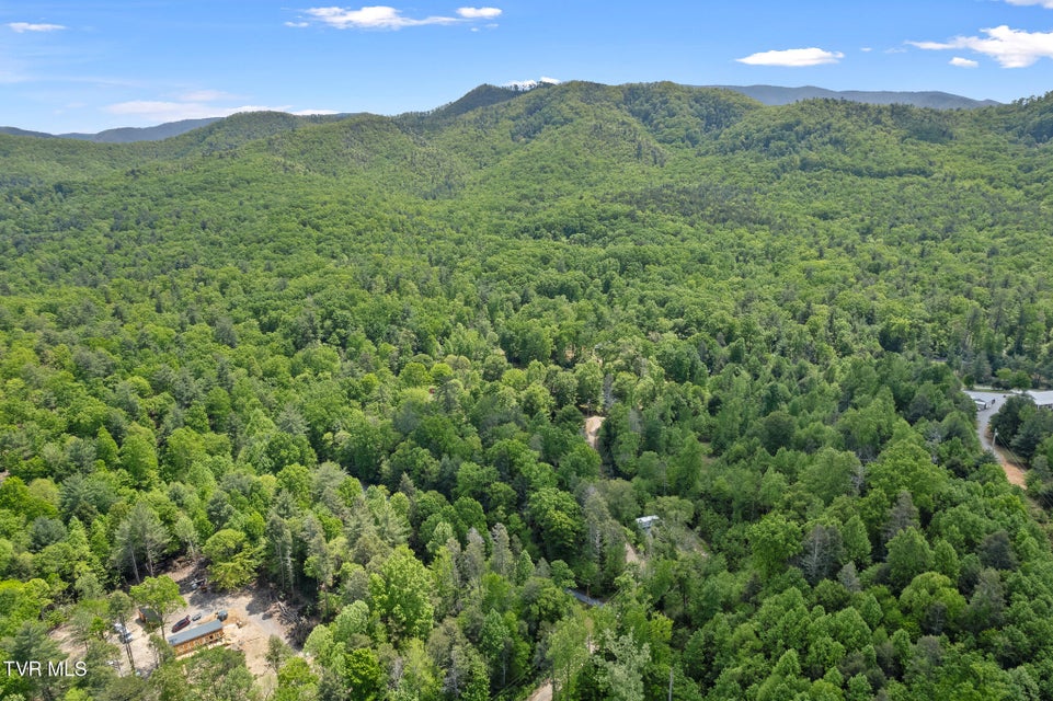 Photo #30: 405 Morgan Branch Lane