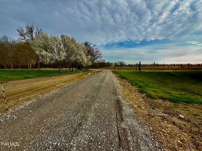 Photo #6: 830 Toby Road