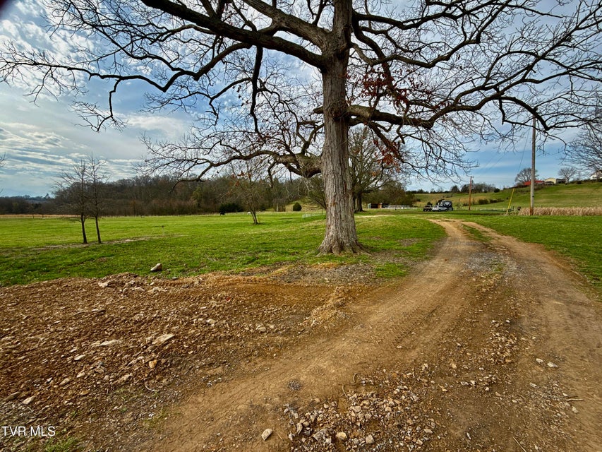 Photo #7: 830 Toby Road