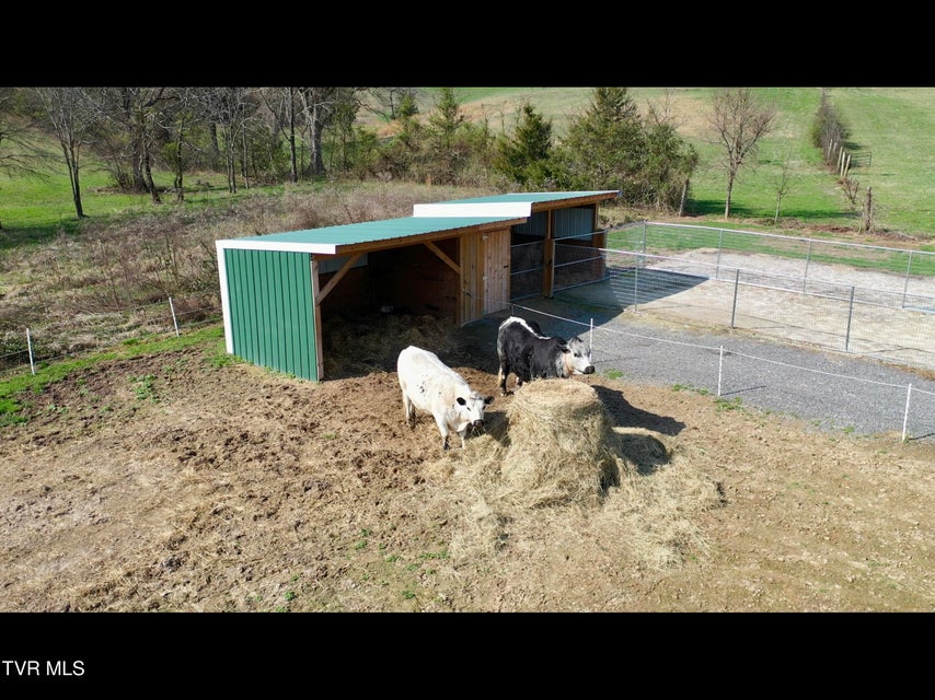 Photo #9: 830 Toby Road