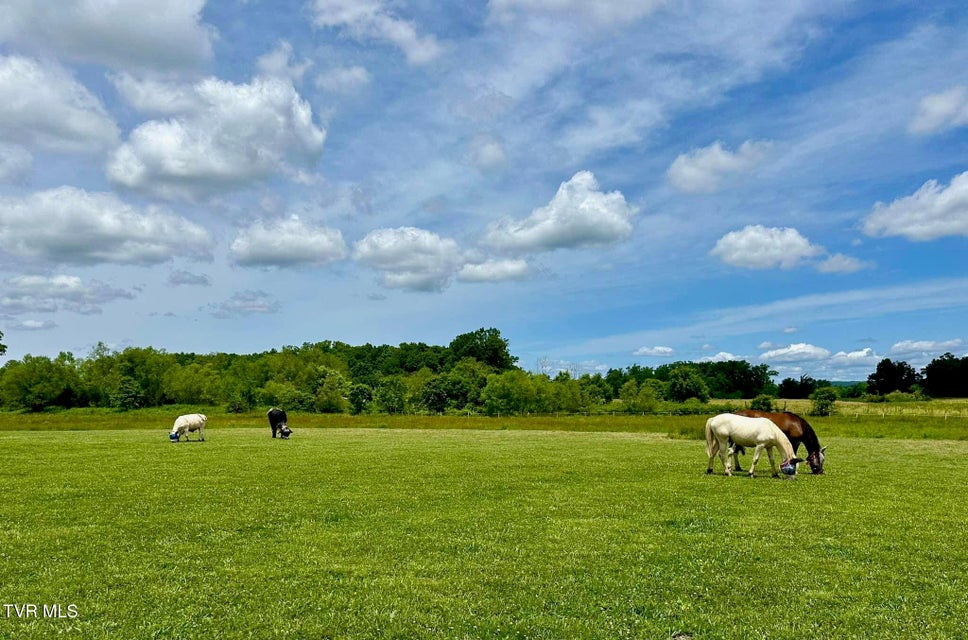 Photo #14: 830 Toby Road