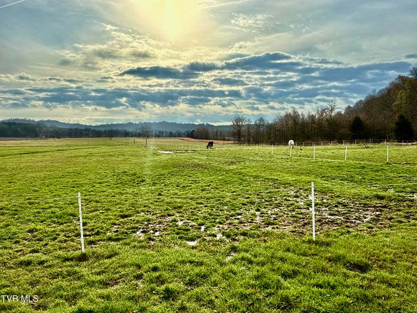 Photo #15: 830 Toby Road