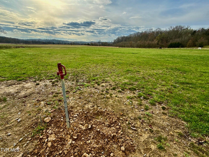 Photo #30: 830 Toby Road